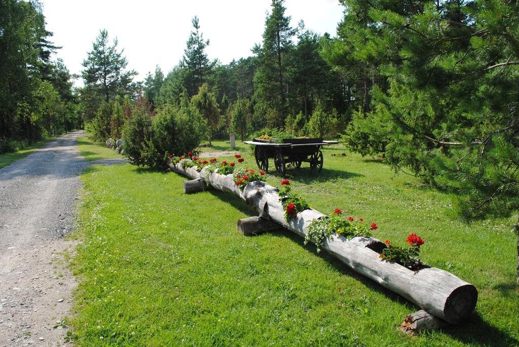 Hotel Kuivastujaani Pokój zdjęcie